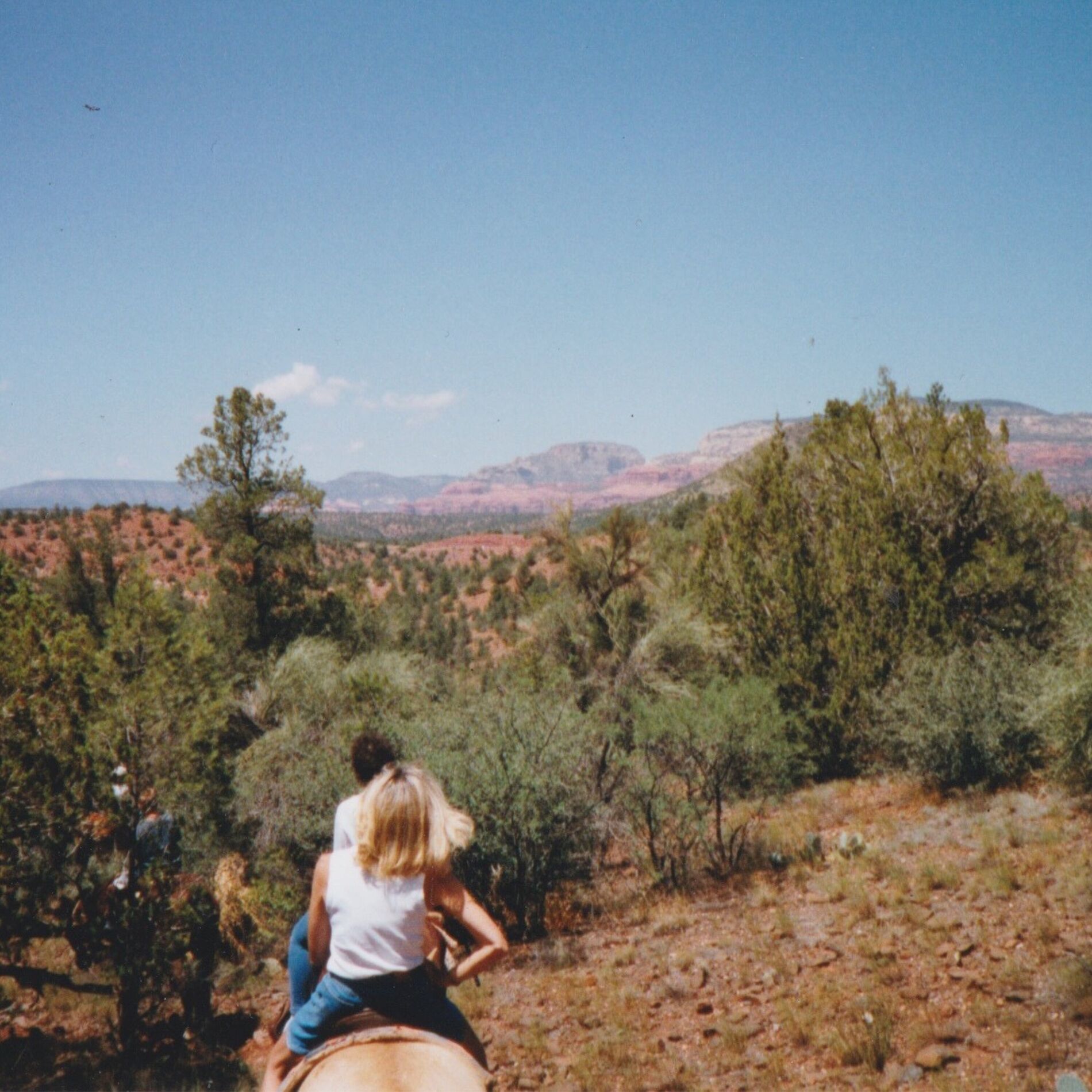 Album cover of ARIZONA THUNDER