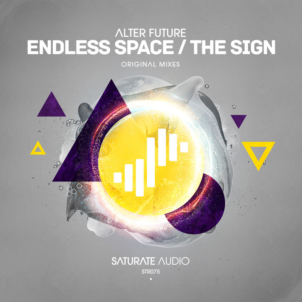 Picture of Endless Space / The Sign