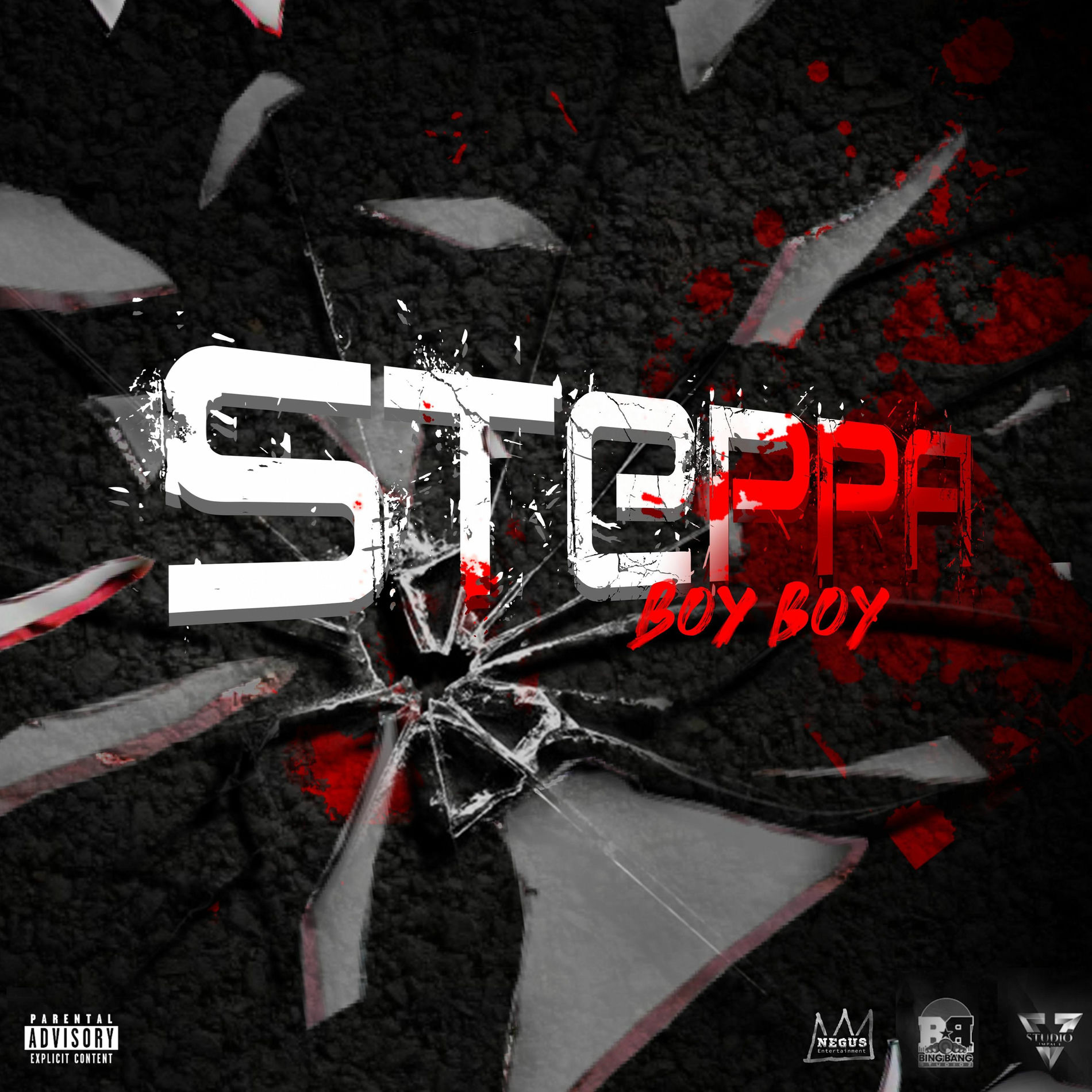 Album cover of Steppa
