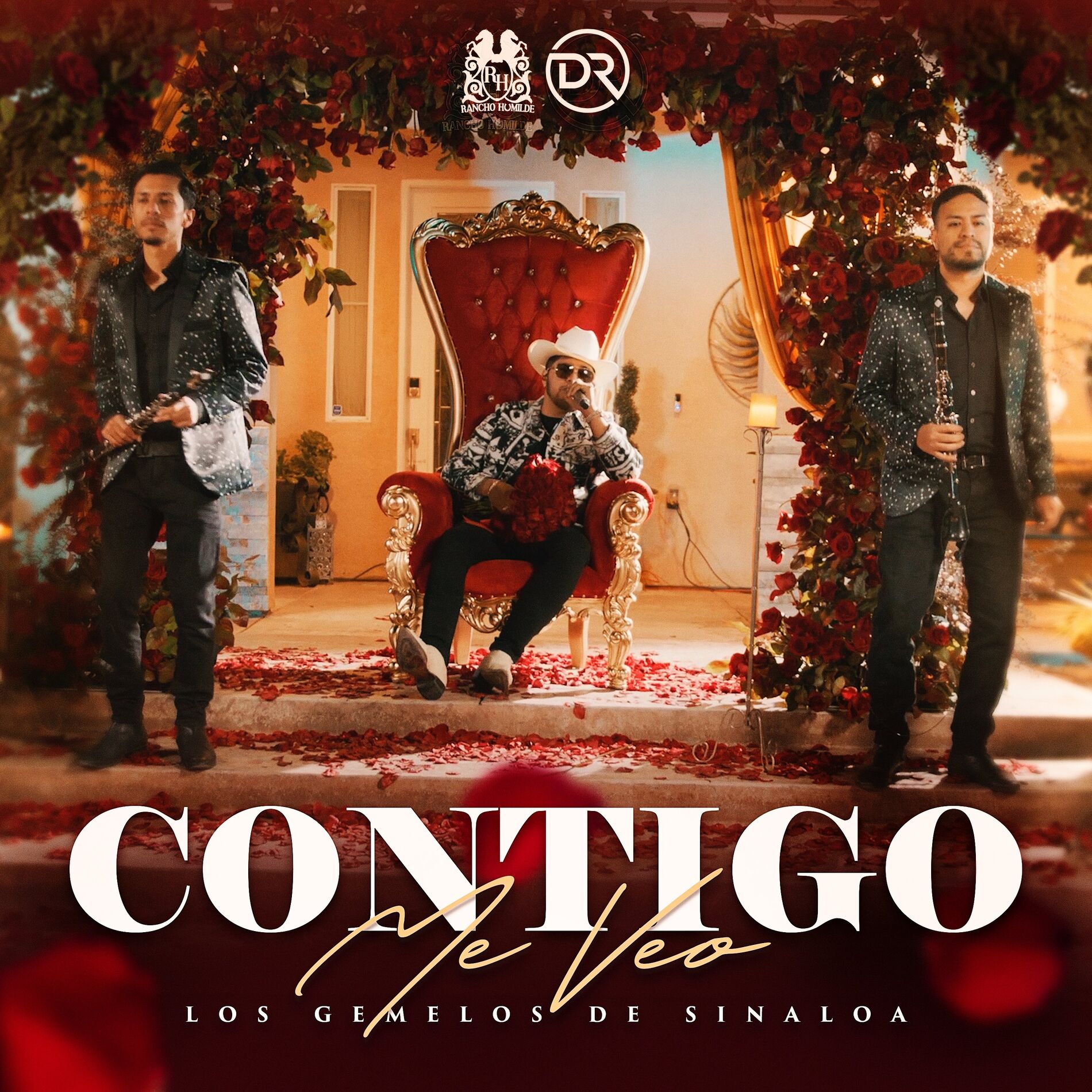 Album cover of Contigo Me Veo