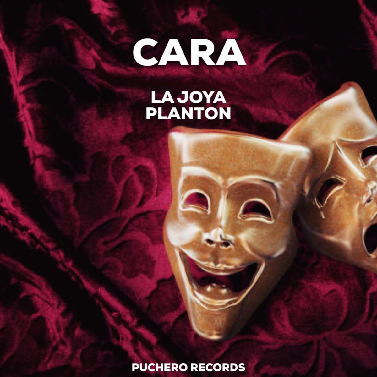 Album cover of Cara