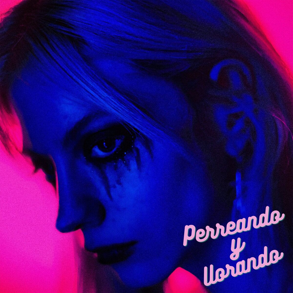 Album cover of Perreando y llorando