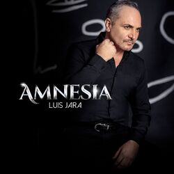 Cover of Amnesia