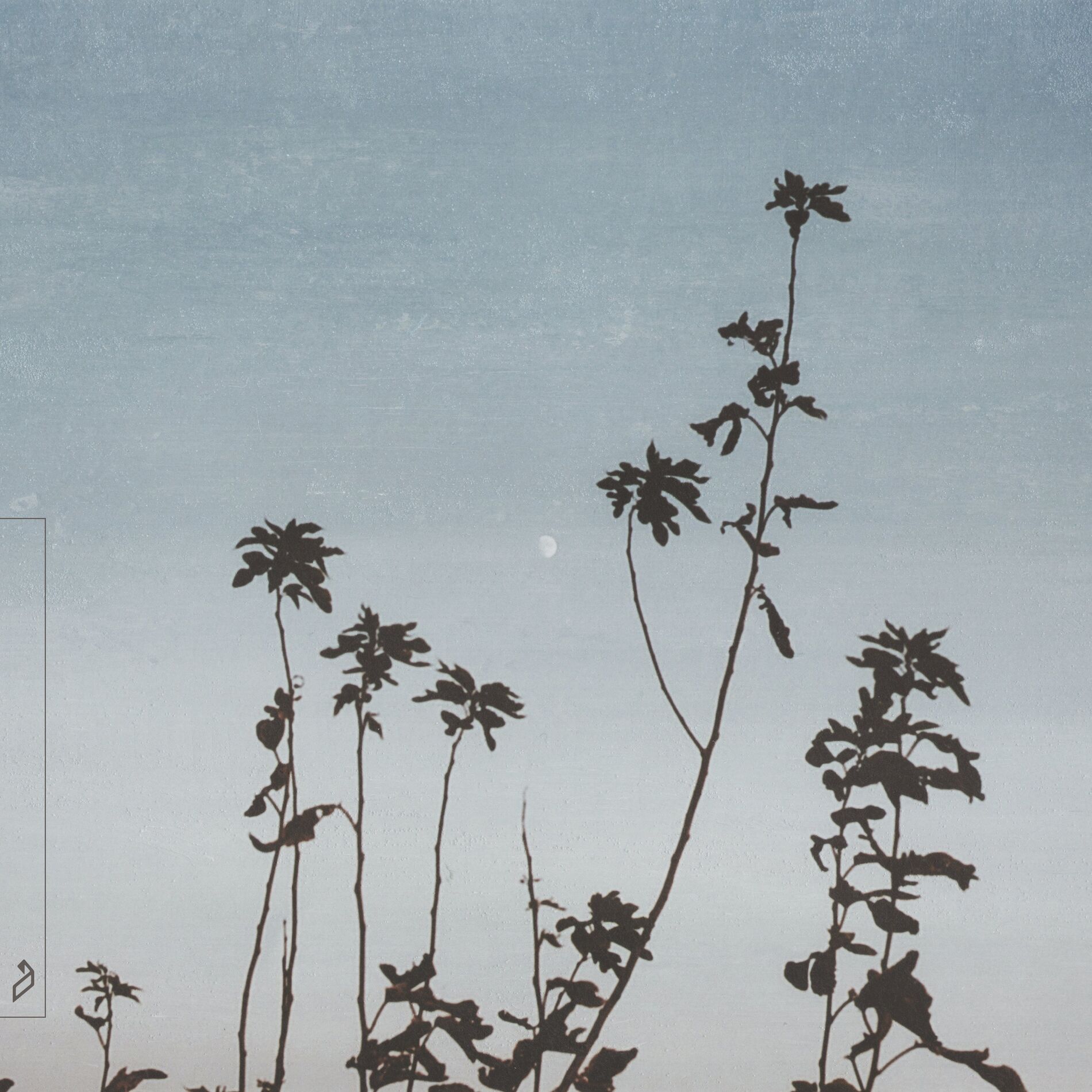 Album cover of Utsurou