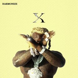 Cover of X