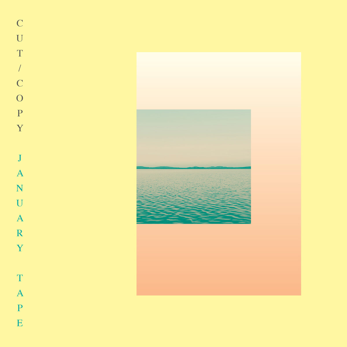 Album cover of January Tape