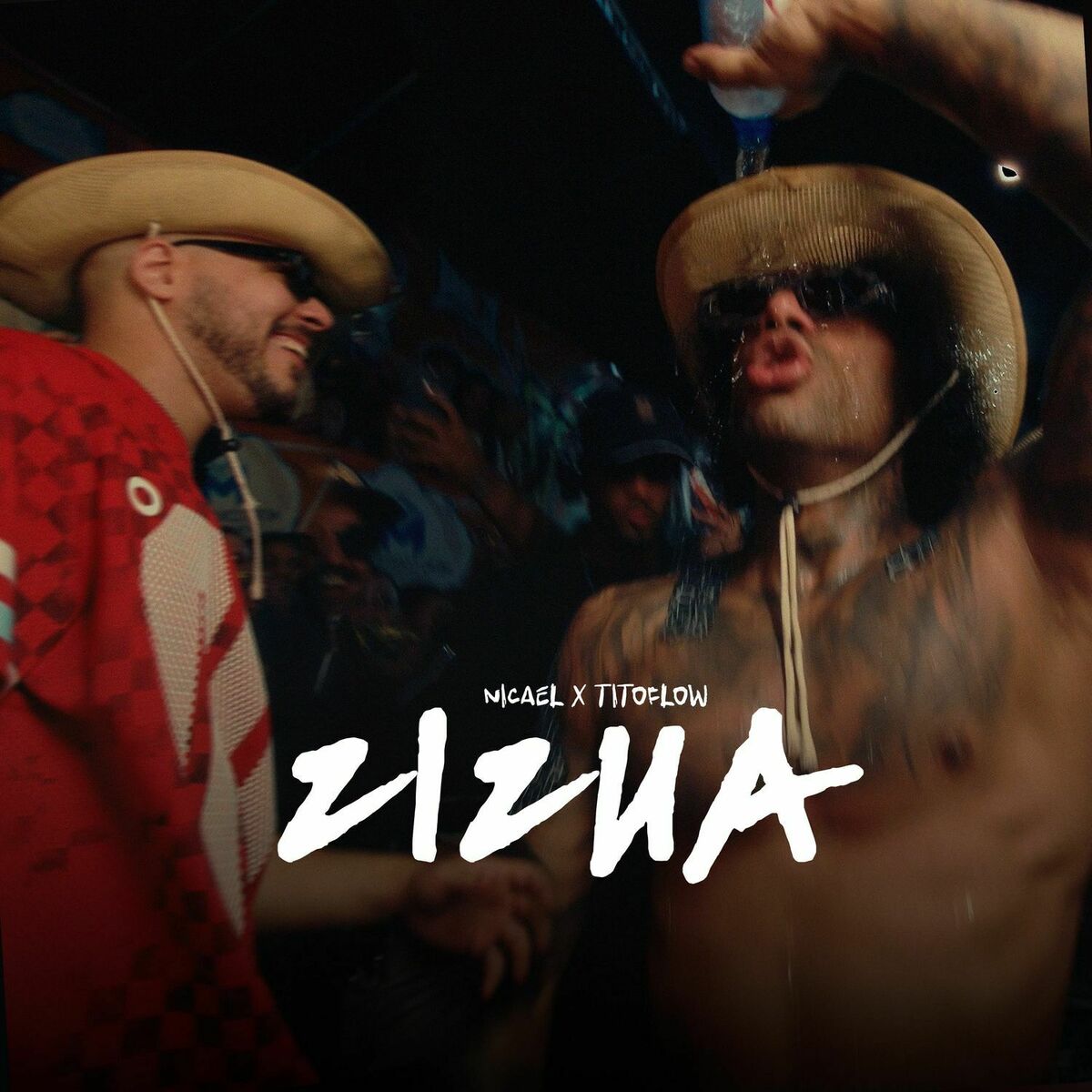 Album cover of Zizua