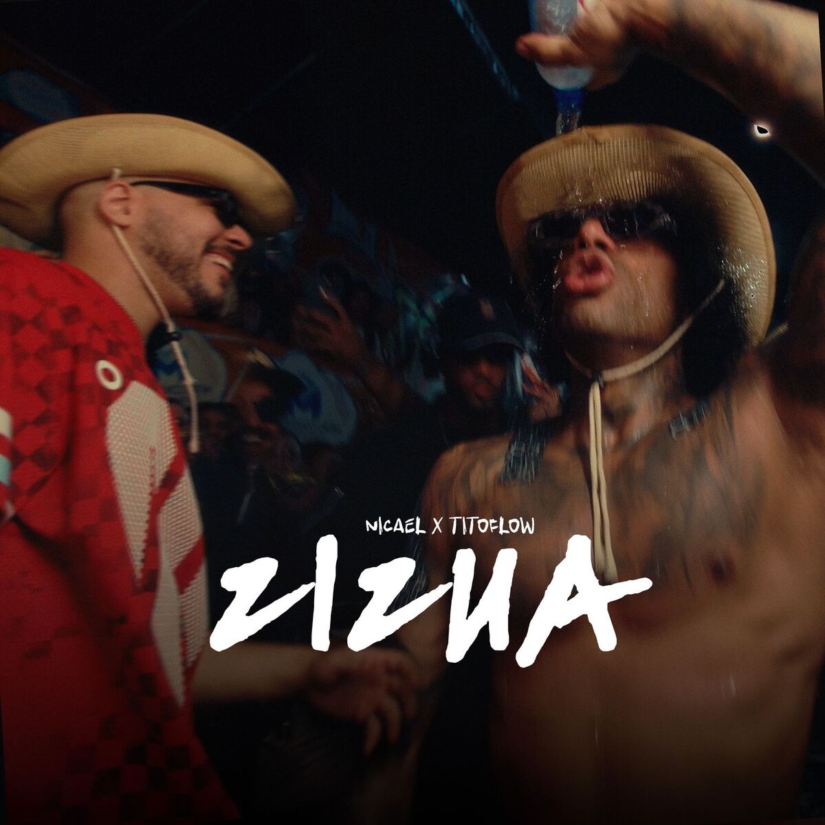 Album cover of Zizua