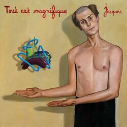 Cover of Tout est magnifique