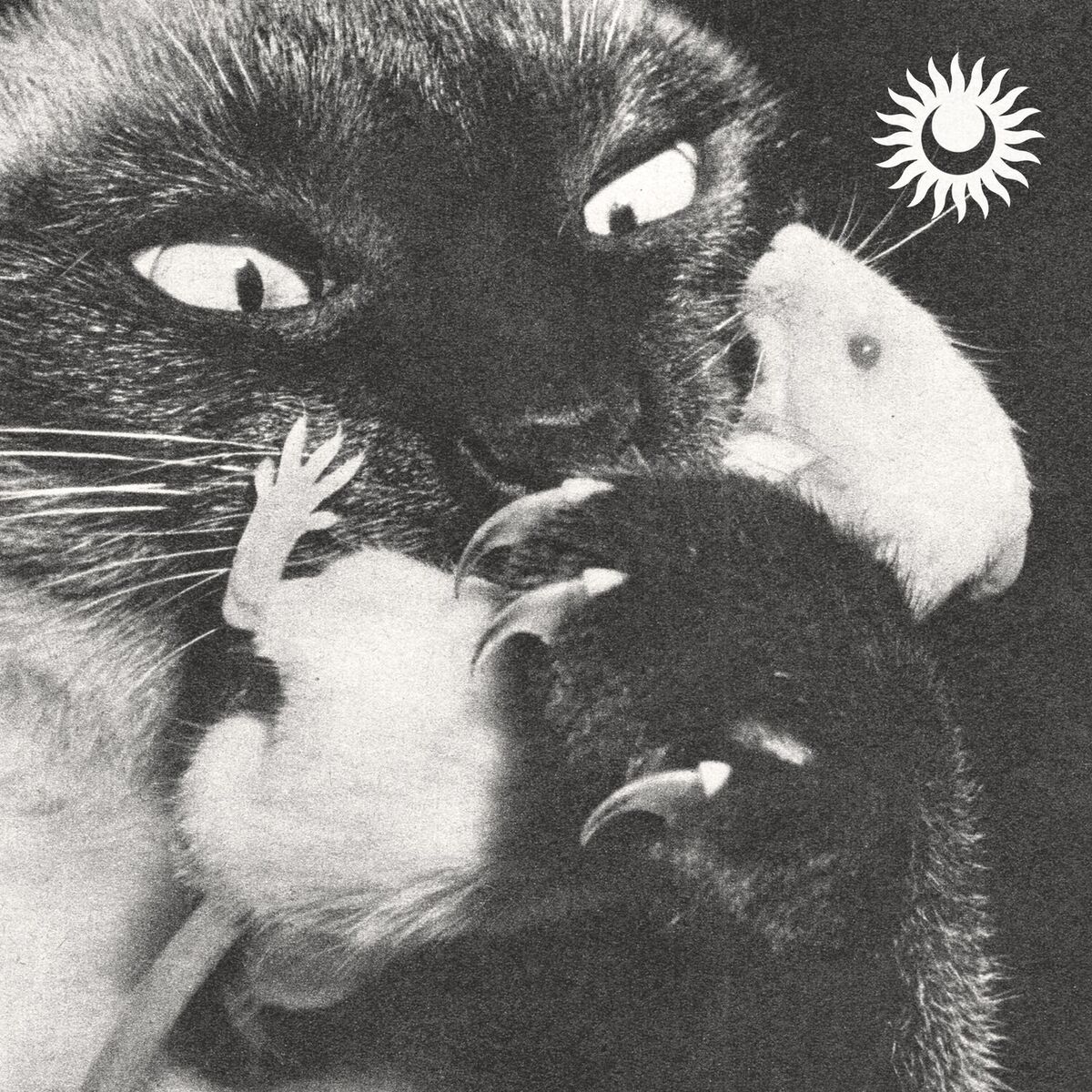 Album cover of Monsters