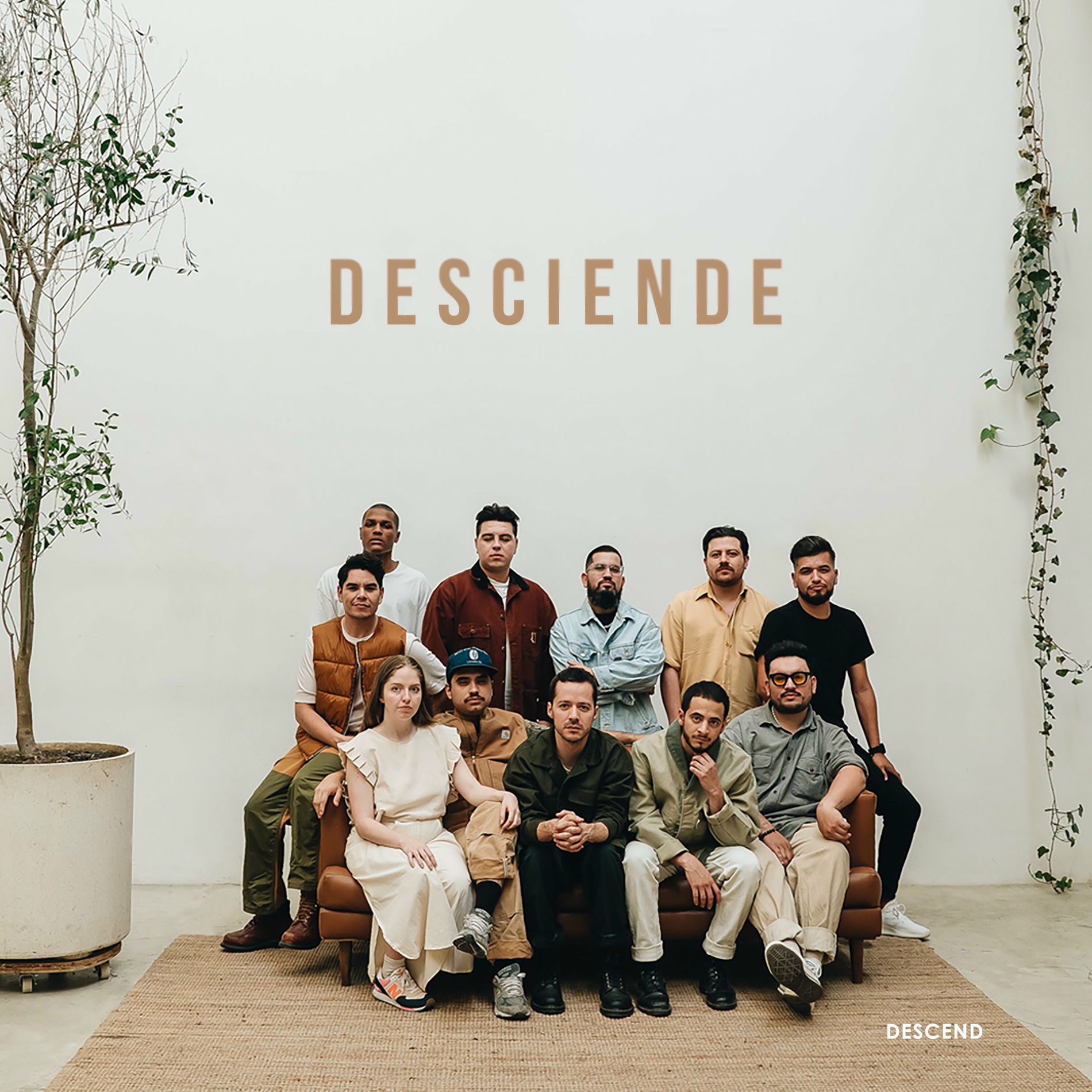 Album cover of DESCIENDE