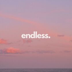 Cover of endless.