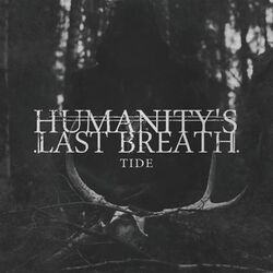 Cover of Tide