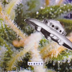 Cover of Hermit