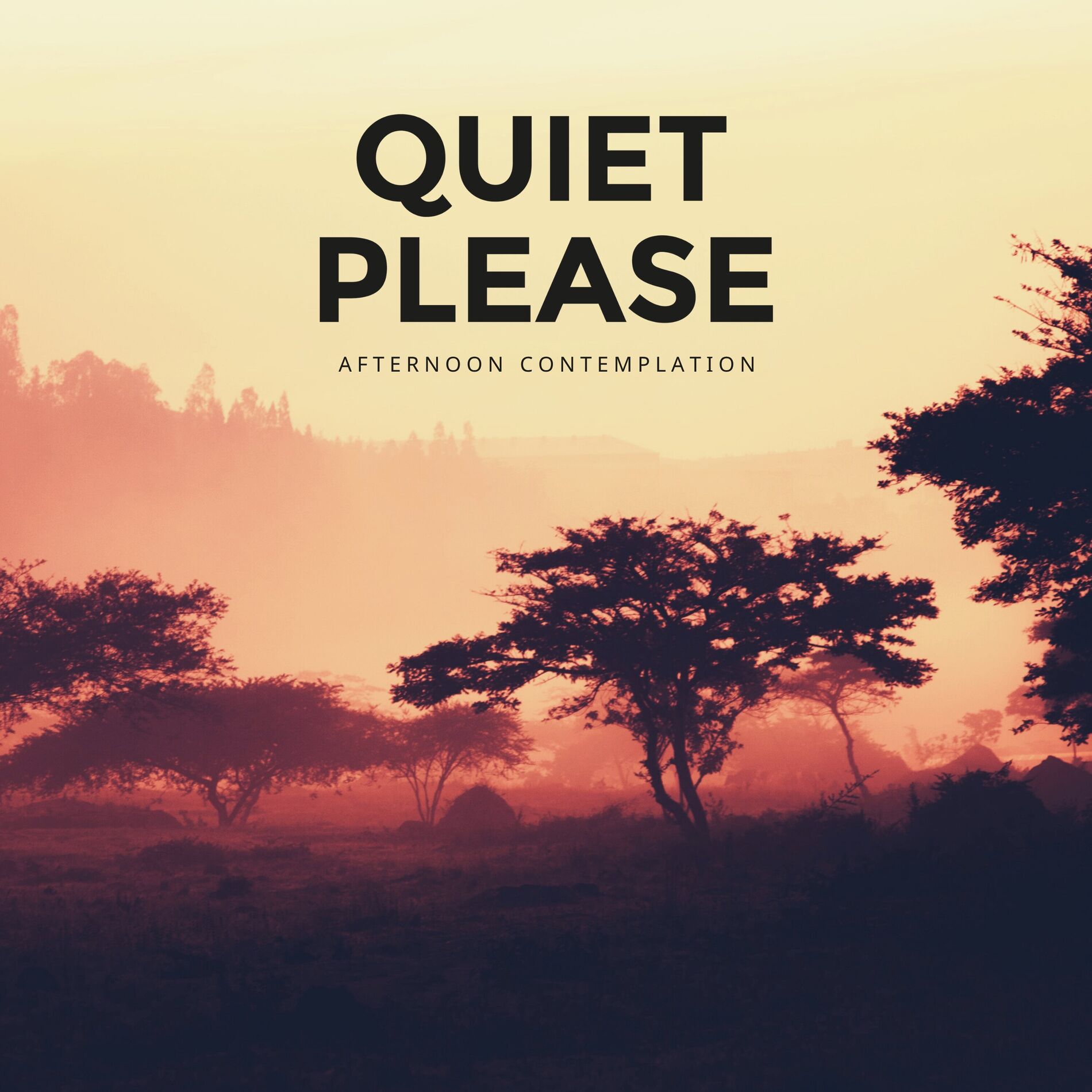 Album cover of Afternoon Contemplation