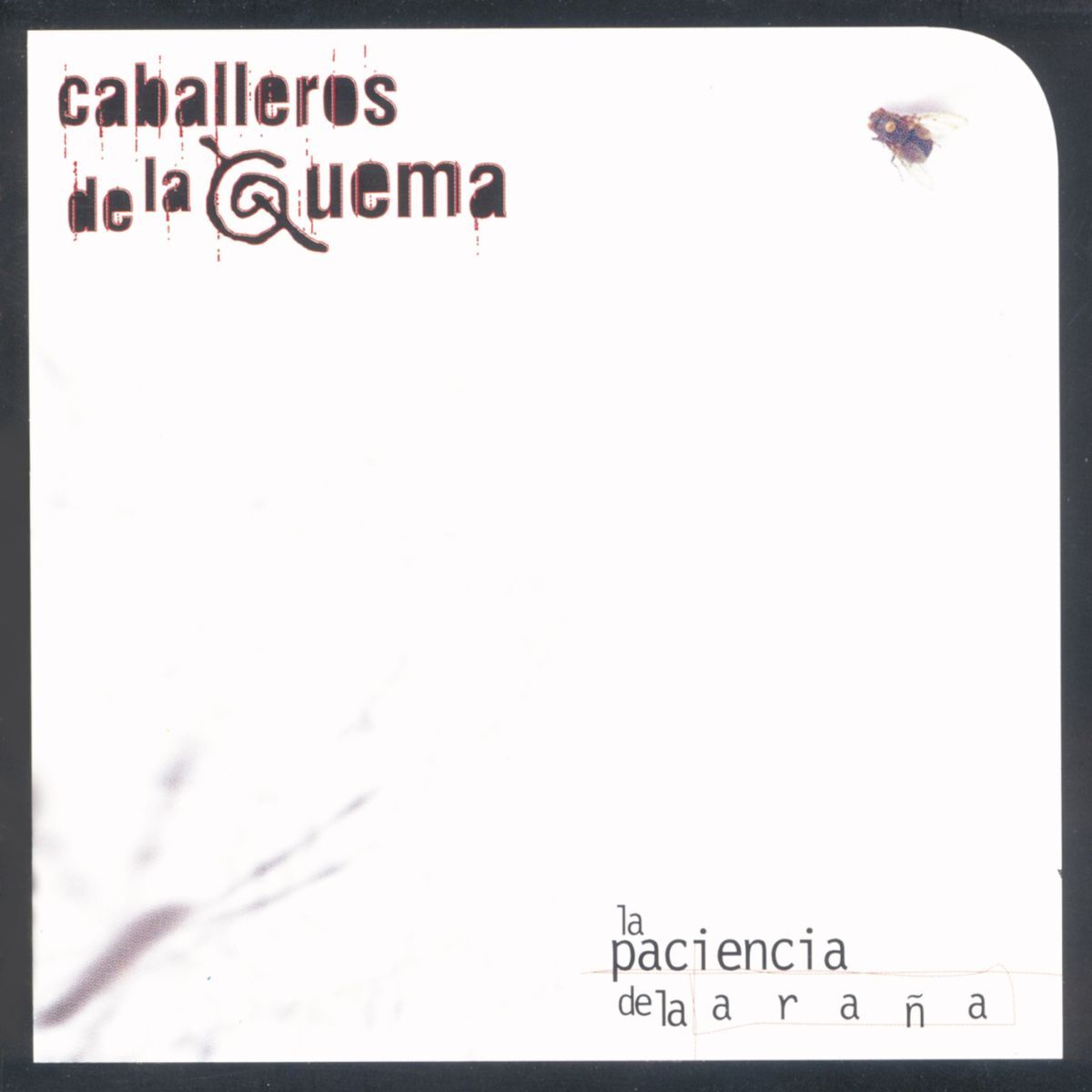 Album cover of Avanti Morocha