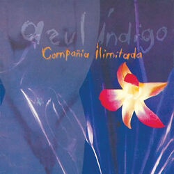 Cover of Azul Indigo