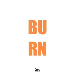 Cover of Burn