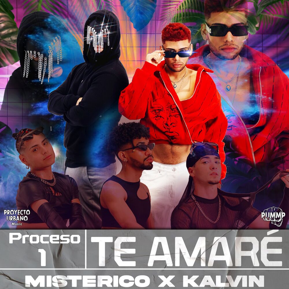 Picture of Proceso 1 Te Amaré