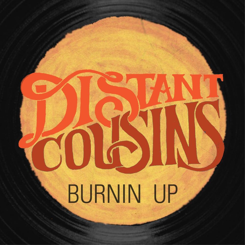 Picture of Burnin Up