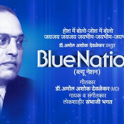 Cover of Blue Nation