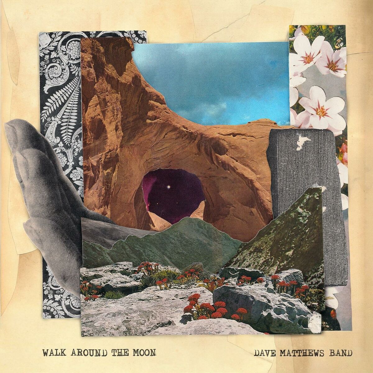 Album cover of Walk Around The Moon