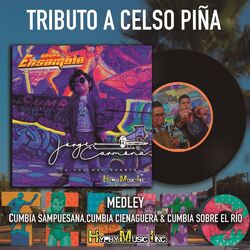 Cover of Tributo A Celso Piña