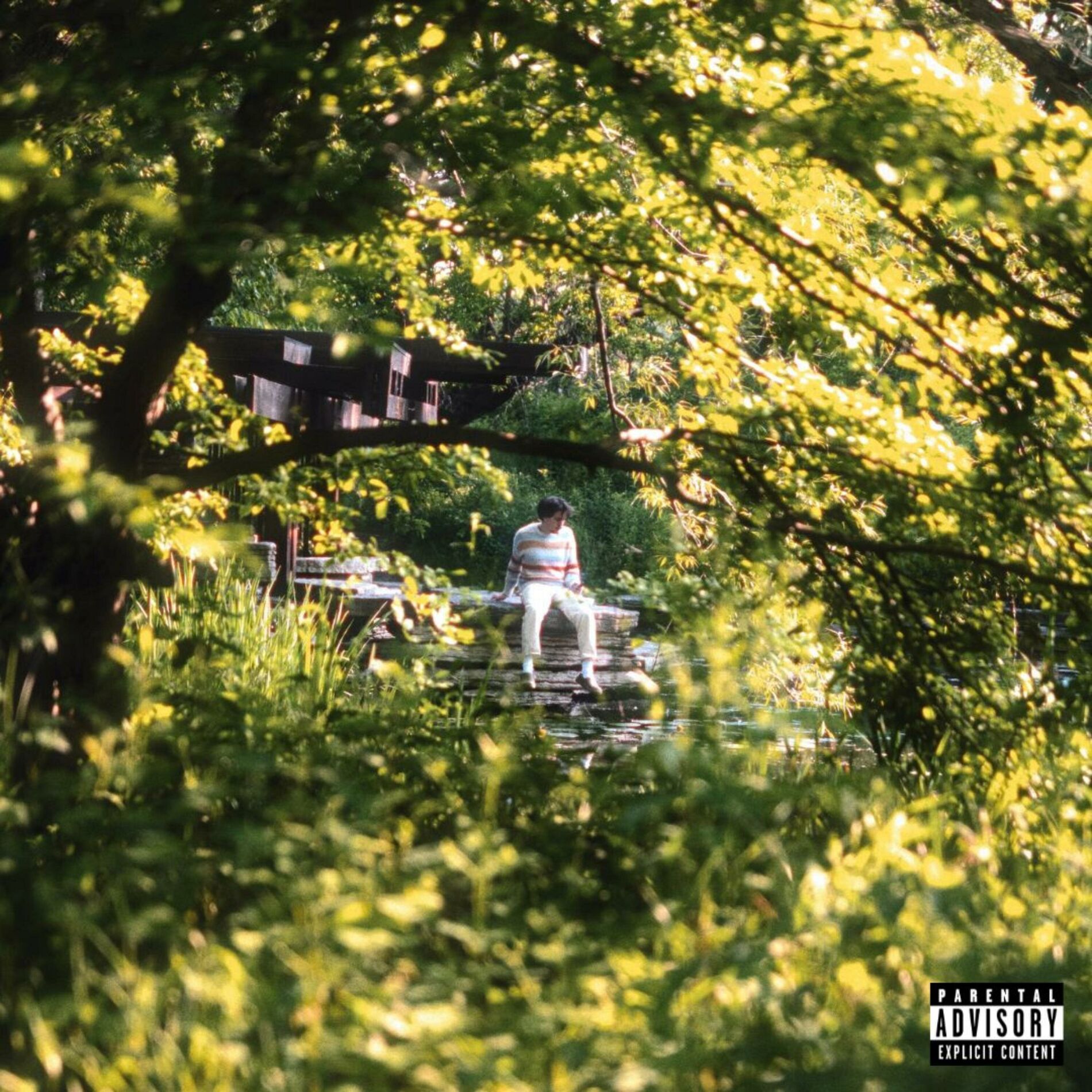 Album cover of ROBERT