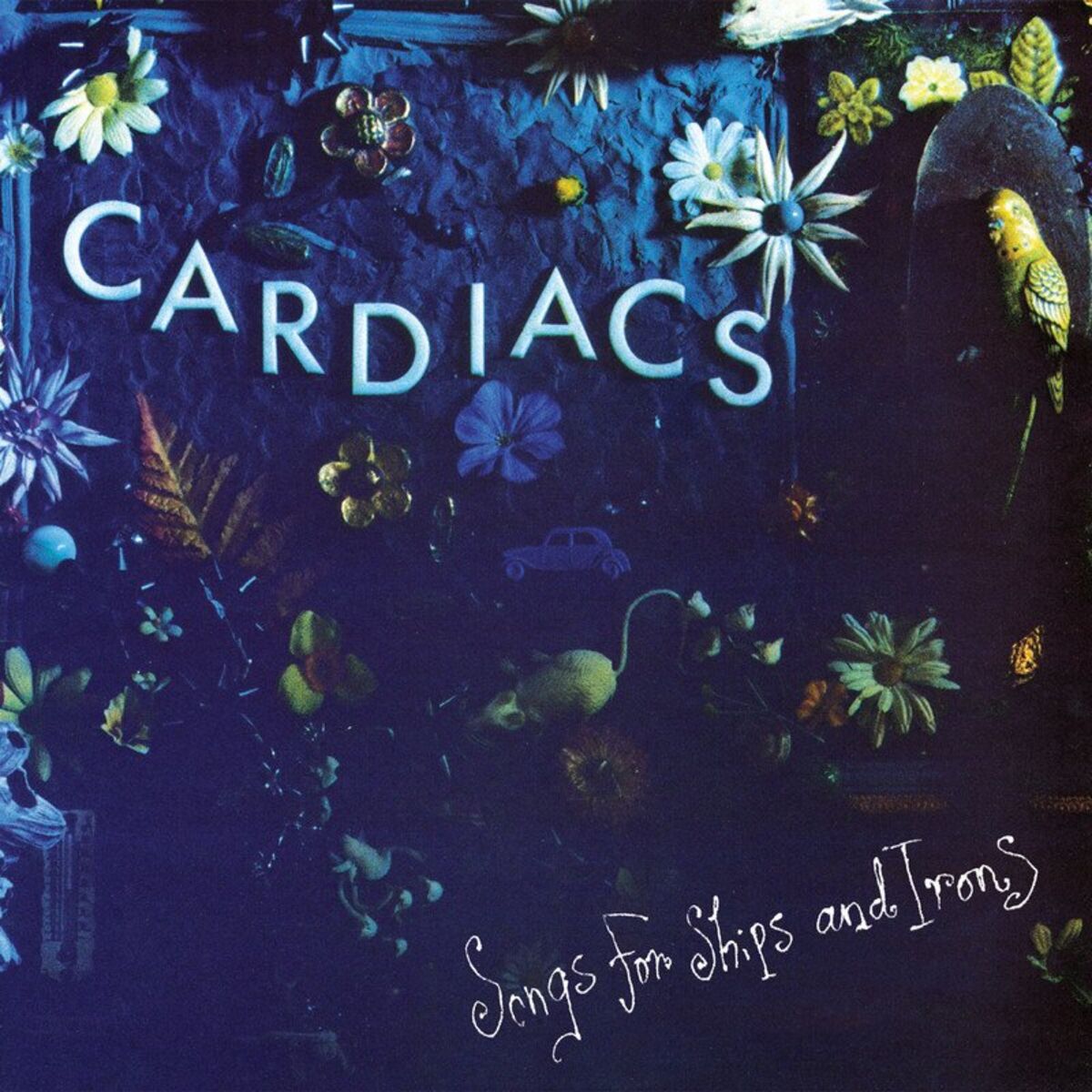 Album cover of Songs For Ships And Irons