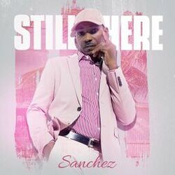 Cover of STILL HERE