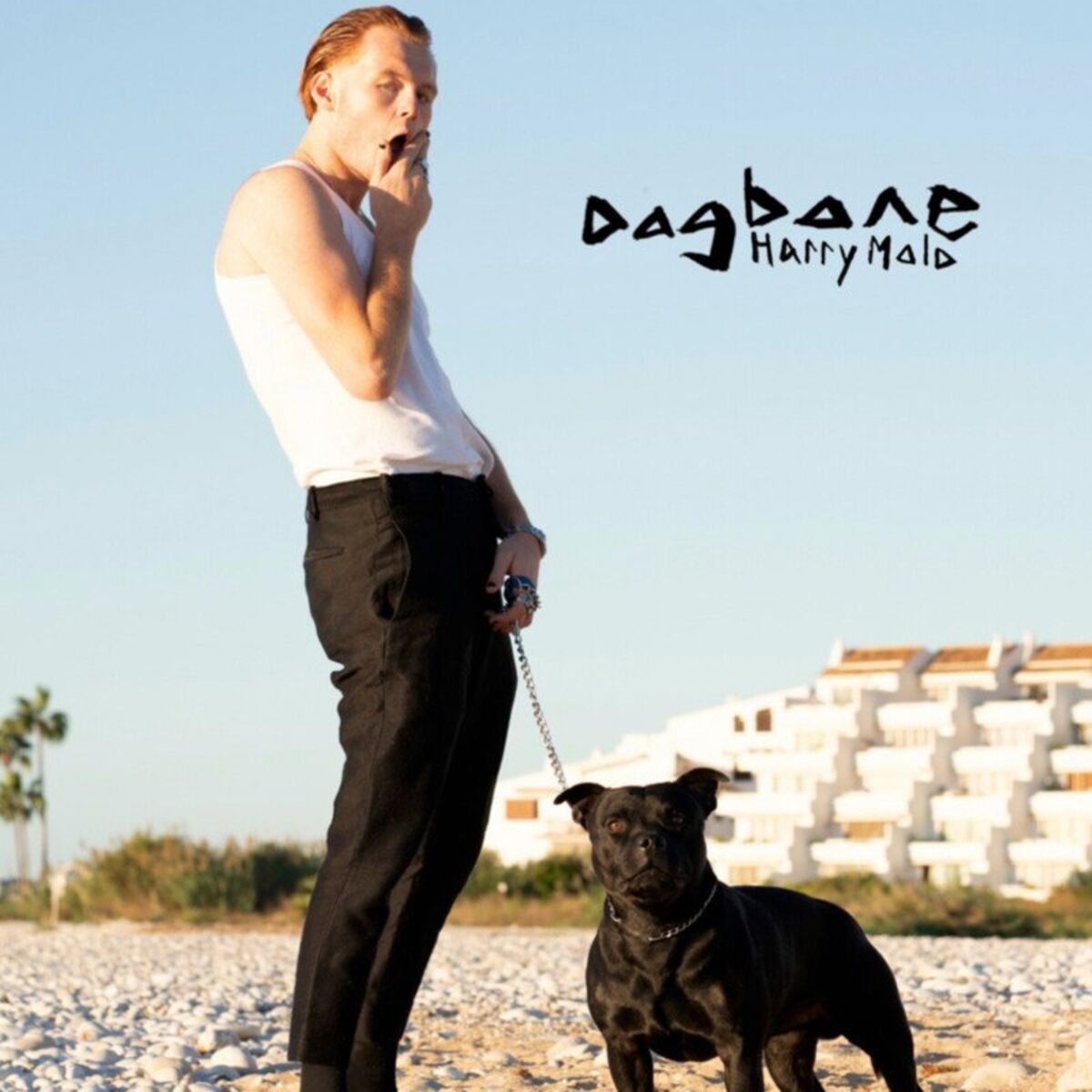Album cover of Dogbone