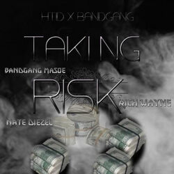 Cover of Taking Risk