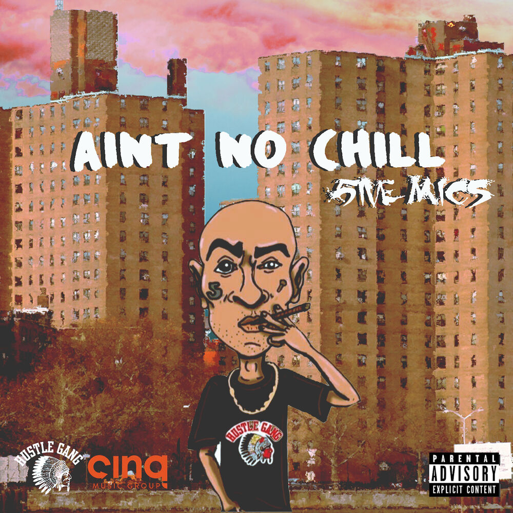 Picture of Aint No Chill (LP Explicit)