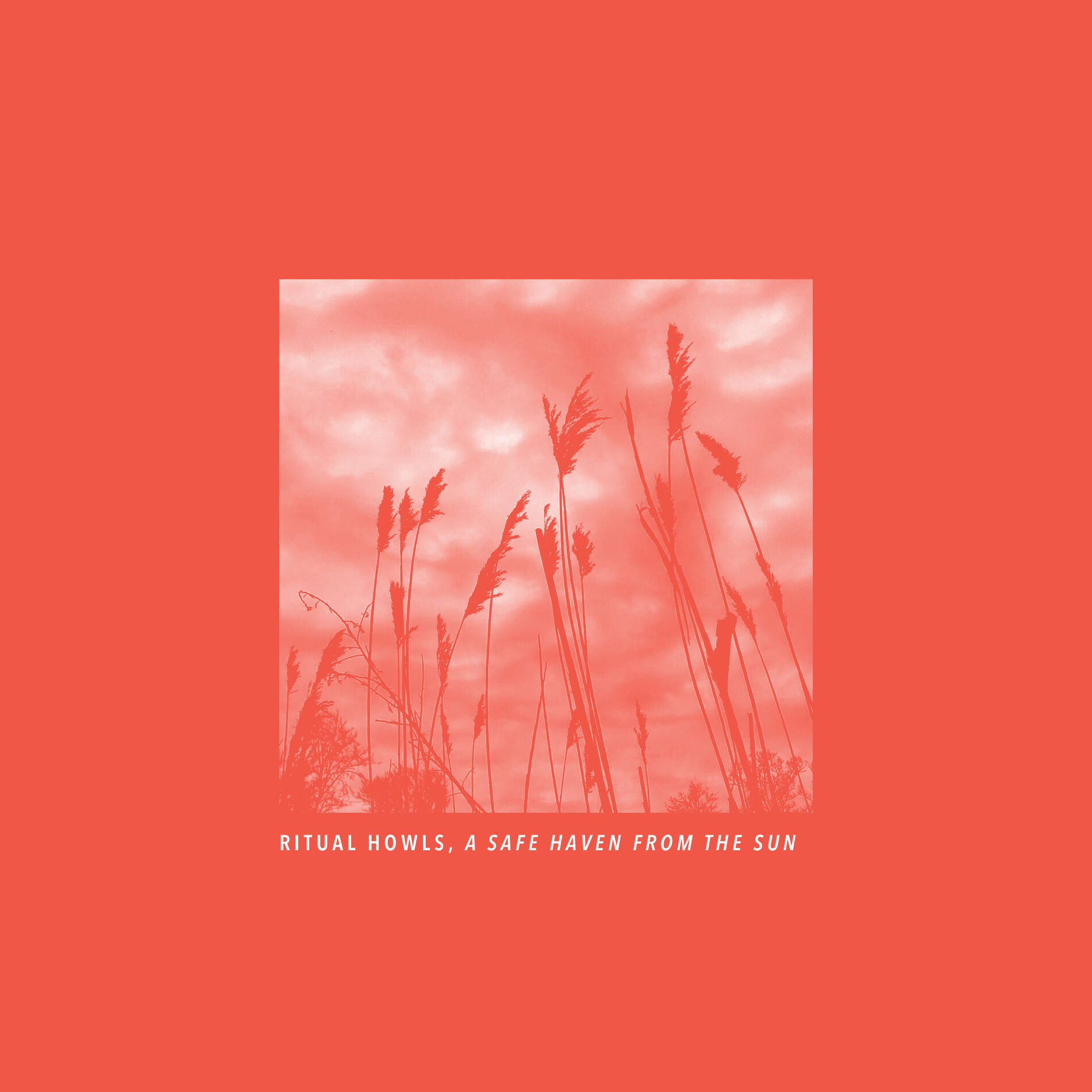 Album cover of A Safe Haven From The Sun