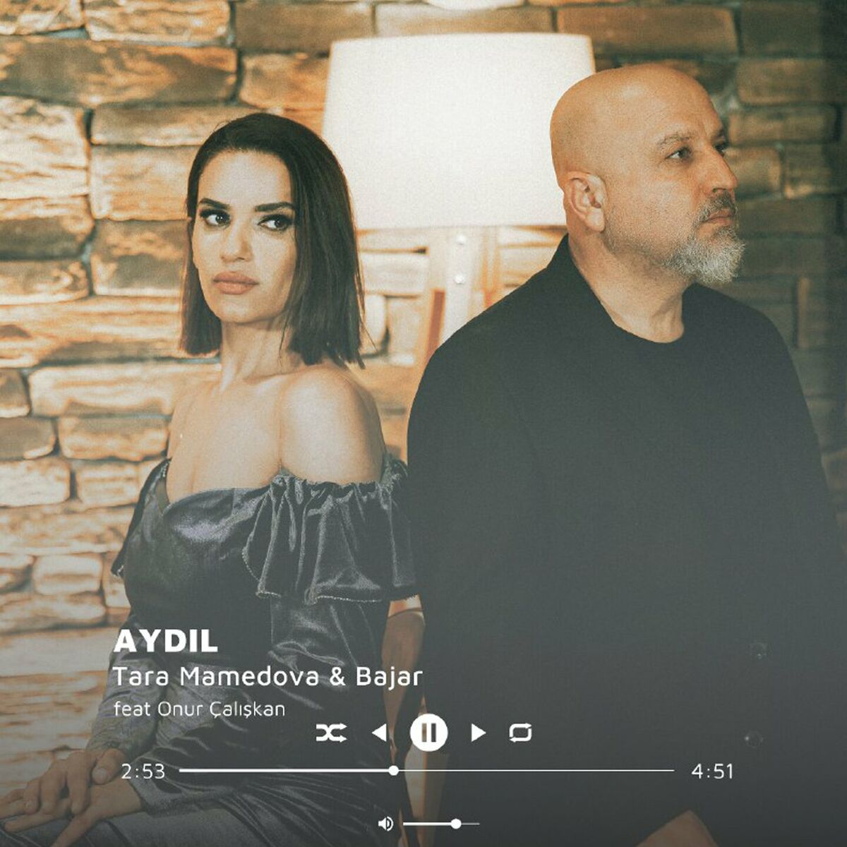 Album cover of Aydil