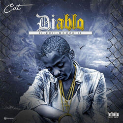 Cover of Diablo