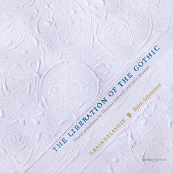 Cover of The Liberation of the Gothic