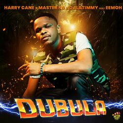 Cover of Dubula (feat. DJ Latimmy) (Remake)