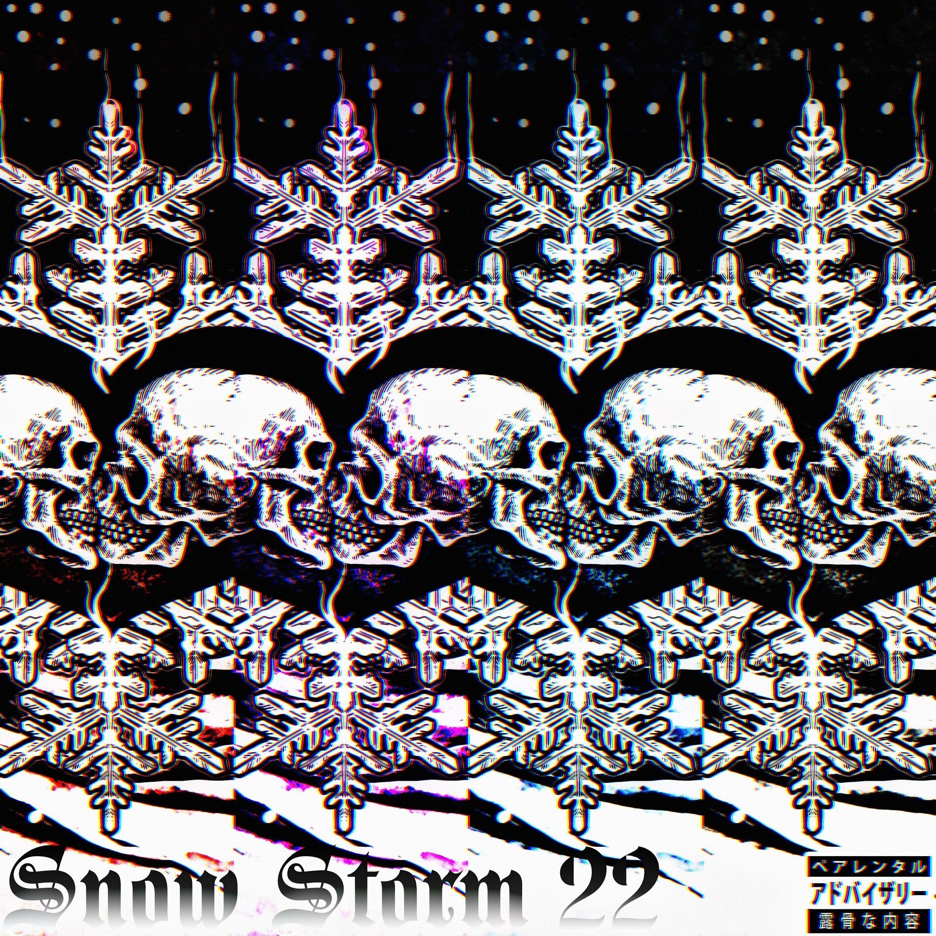 Album cover of Snow Storm 22