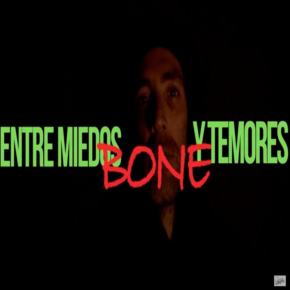 Picture of Entre miedos y temores