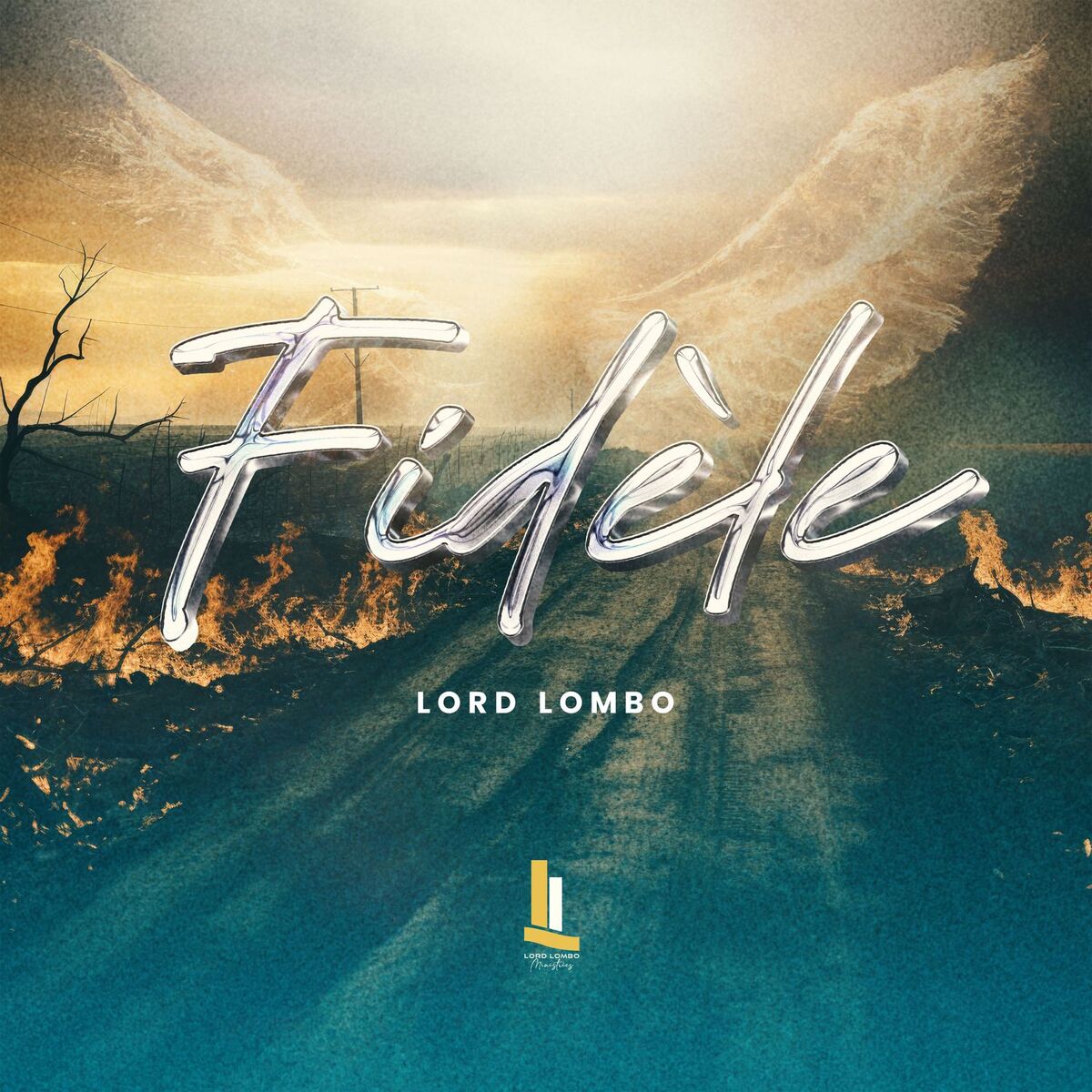 Album cover of FIDELE (Remix)