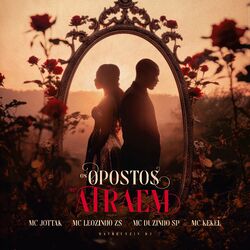 Cover of Os Opostos Se Atraem