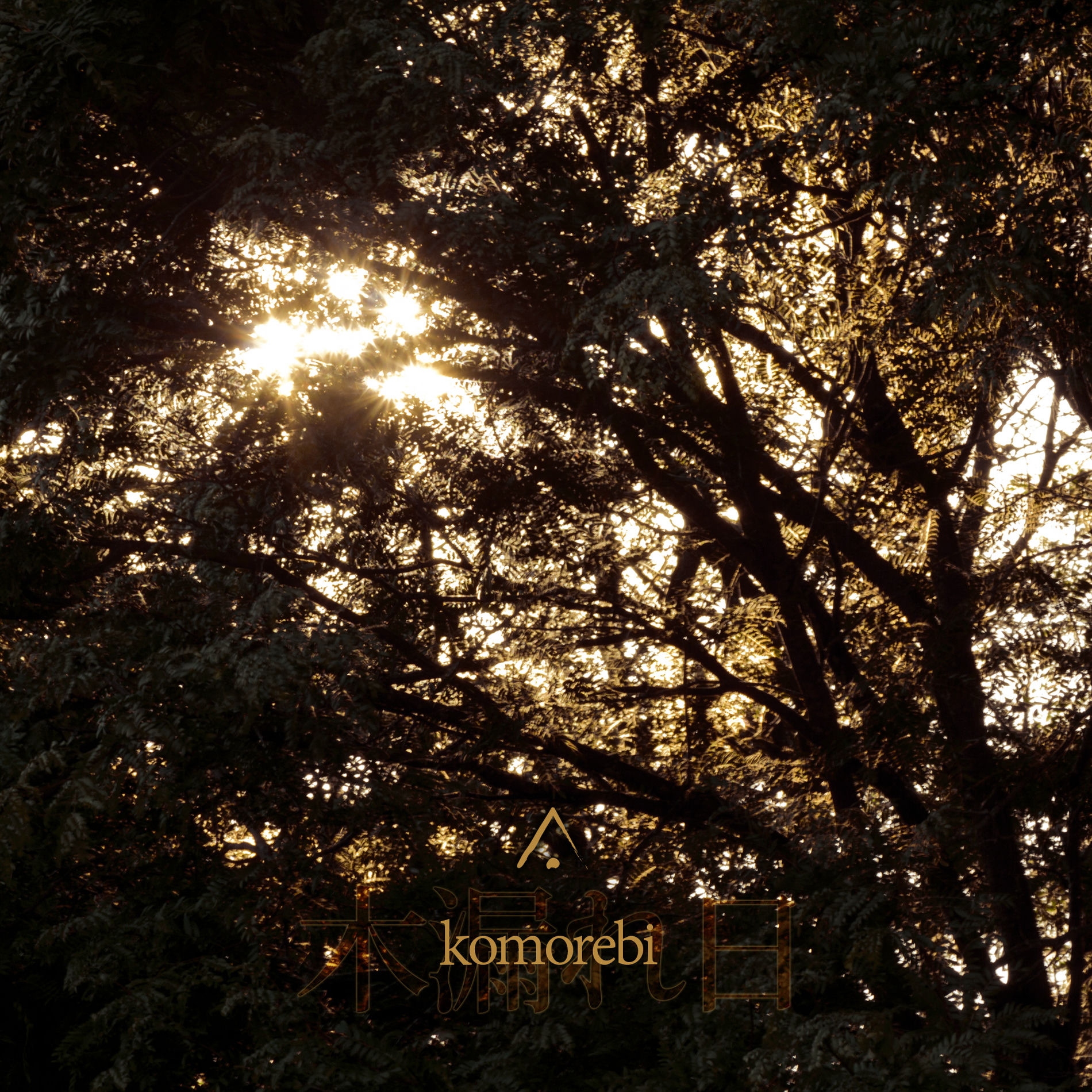 Album cover of Komorebi