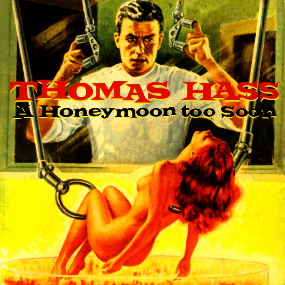Picture of A Honeymoon Too Soon