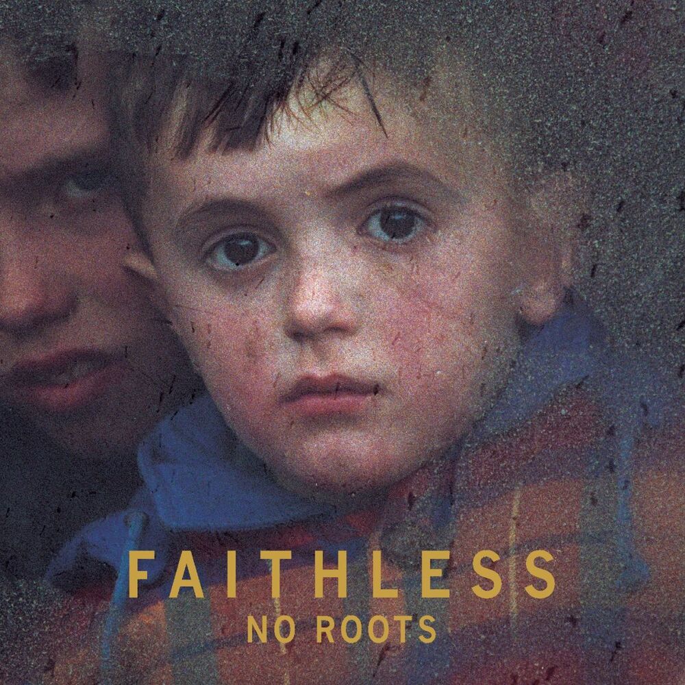 Picture of No Roots