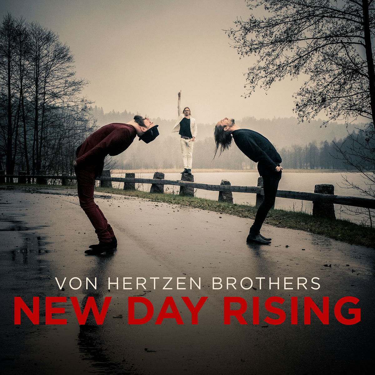 Album cover of New Day Rising