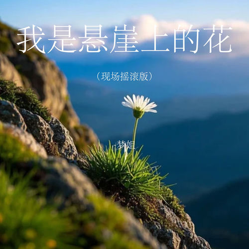 我是悬崖上的花 (现场摇滚版)