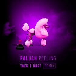 Pochette album