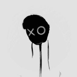 Cover of Colorless