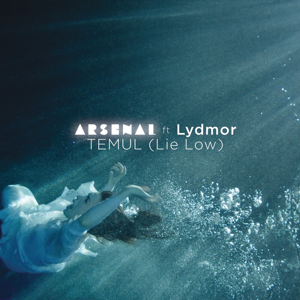 Picture of Temul (Lie Low) (feat. Lydmor) (Single Version)